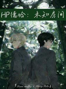 《(HP同人)HP德哈:未知房间》