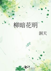 《柳暗花明》