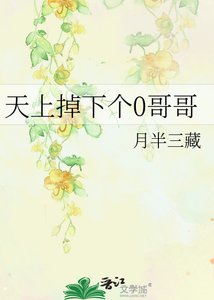 《天上掉下个0哥哥》