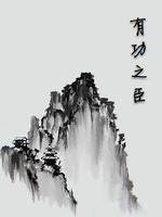 《有功之臣》