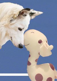 （BL/社交网络同人）Geronimo安全降落 ME