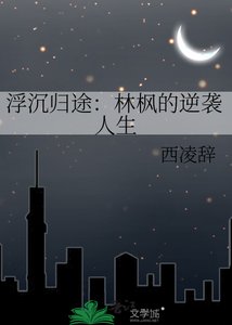 浮沉归途:林枫的逆袭人生