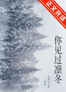 《你见过凛冬》