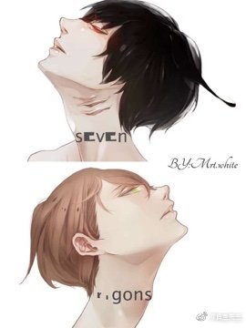《七大区域》