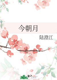 今朝月/莲动下渔舟