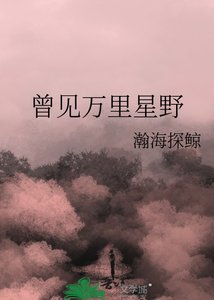 《曾见万里星野》