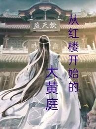 《从红楼开始的大黄庭》