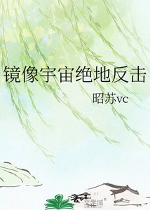 《镜像宇宙绝地反击》