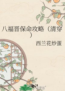 《八福晋保命攻略(清穿)》