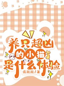 《养只超凶的小猫是什么体验》