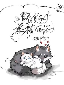 《野狼的养猫日记》