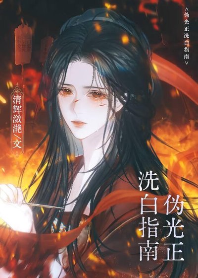 《伪光正洗白指南》