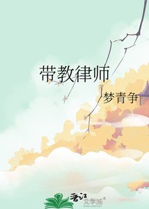 《带教律师》