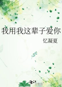 《我用我这辈子爱你》