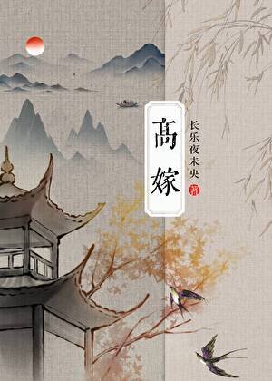 《高嫁小夫郎》