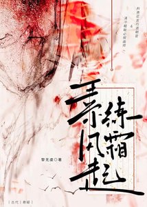 《素练风霜起(探案)》