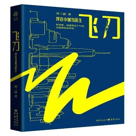 《飞刀:我在小城当医生》