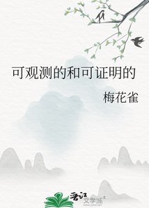 《可观测的和可证明的》