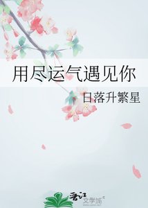 《用尽运气遇见你》