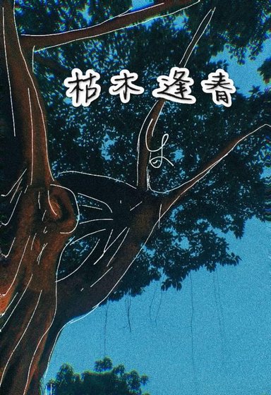 《枯木逢春》