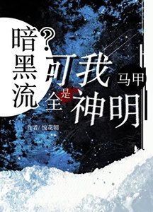 《暗黑流?可我马甲全是神明》
