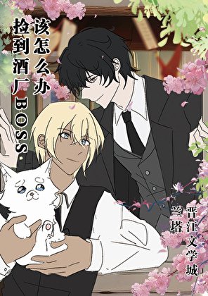 《(综漫同人)捡到酒厂BOSS幼年体该怎么办》