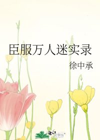 臣服万人迷实录