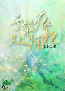 《于裂痕处拥抱》