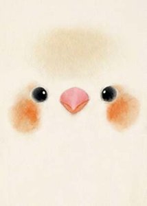 《鸟一直在响》