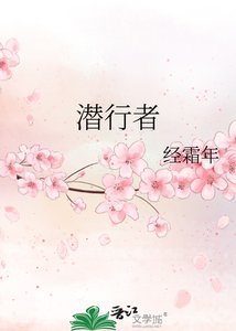 《潜行者》