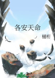 《各安天命》