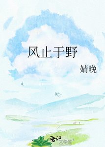 《风止于野》