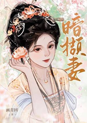 《暗撷妻》