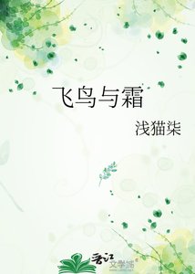 《飞鸟与霜》
