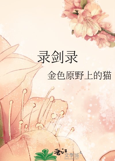 《录剑录》