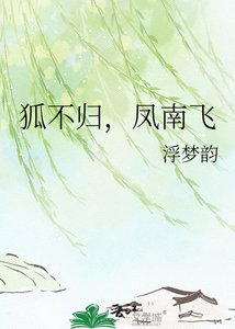《狐不归,凤南飞》