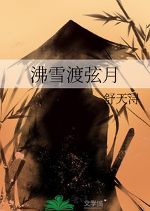 《沸雪渡弦月》