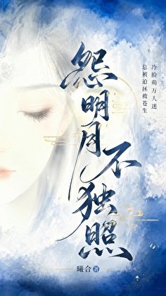 《怨明月不独照》
