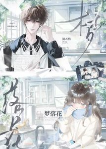 《梦落花》
