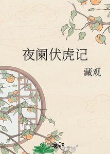 《夜阑伏虎记》