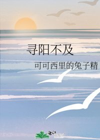 《寻阳不及》