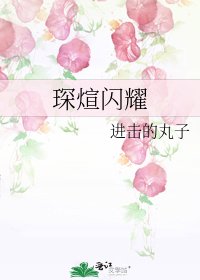 《琛煊闪耀》