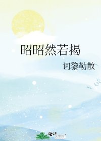 《昭昭然若揭》