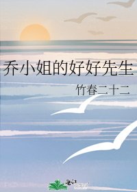 《乔小姐的好好先生》
