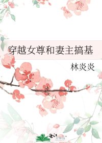 穿越女尊和妻主搞基