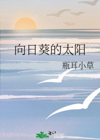 《向日葵的太阳》