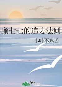 《顾七七的追妻法则》
