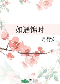 《如遇锦时》