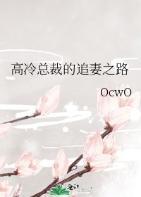 《高冷总裁的追妻之路》