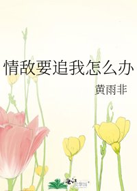 《情敌要追我怎么办》
